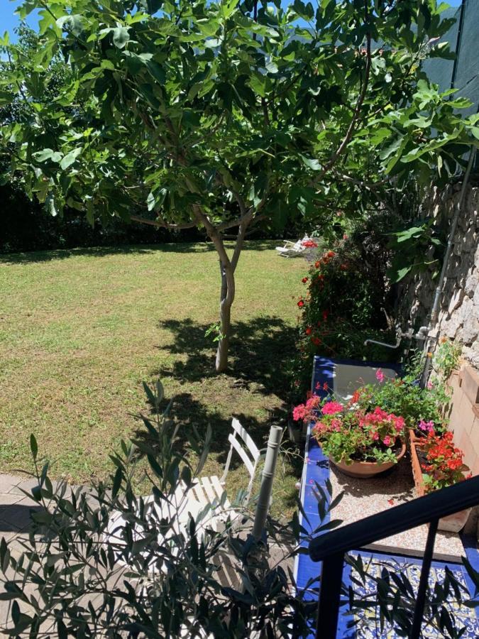 Villa Edo Lake View Tenno Dış mekan fotoğraf